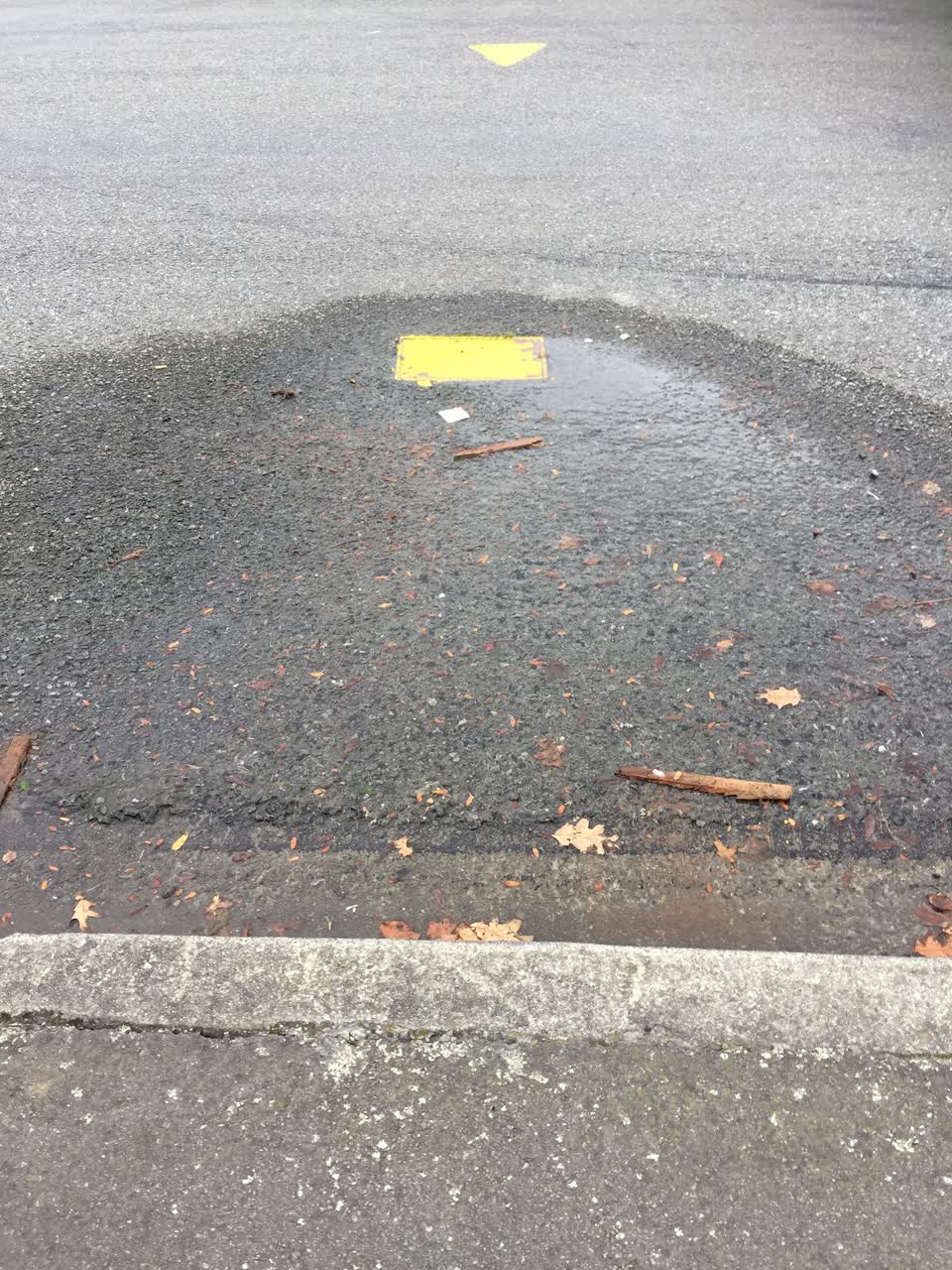 The photograph attached to this water leak report