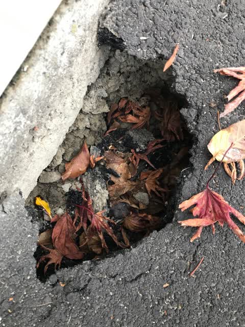 Roading/Streets, a report photo