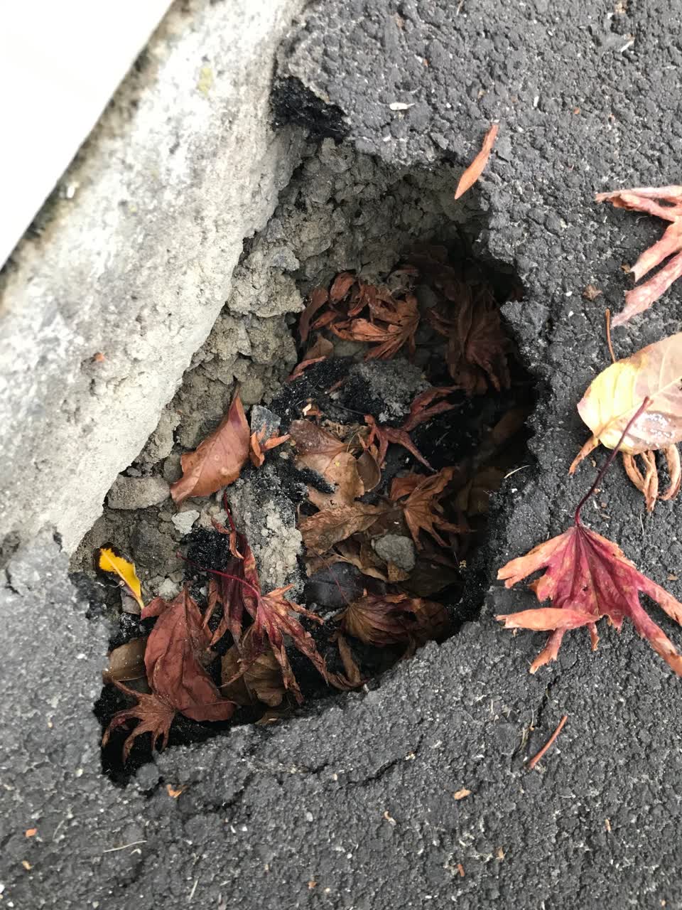 The photograph attached to this roading/streets report