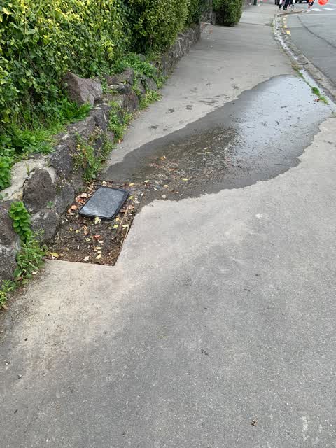 Water Leak, a report photo