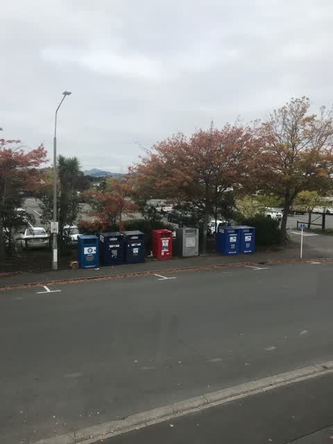 Rubbish/Recycling, a report photo