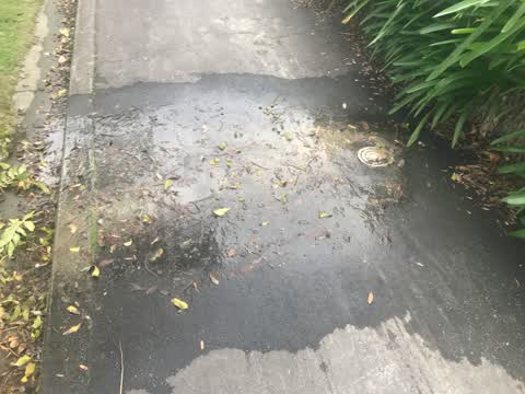 Water Leak, a report photo