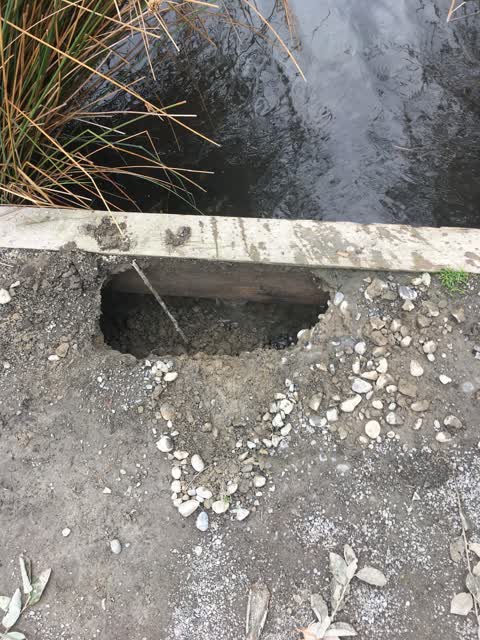 Parks, a report photo
