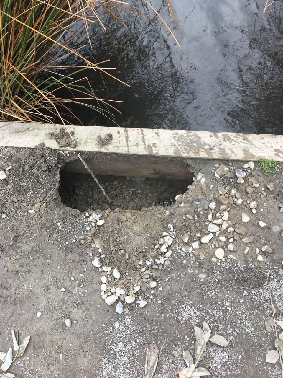 The photograph attached to this parks report