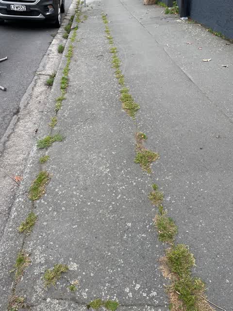 Roading/Streets, a report photo