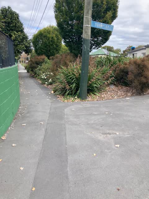 Roading/Streets — a report photo