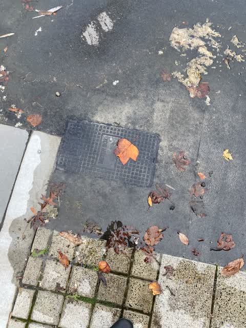 Water Leak, a report photo