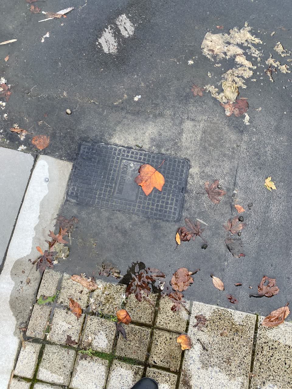 The photograph attached to this water leak report