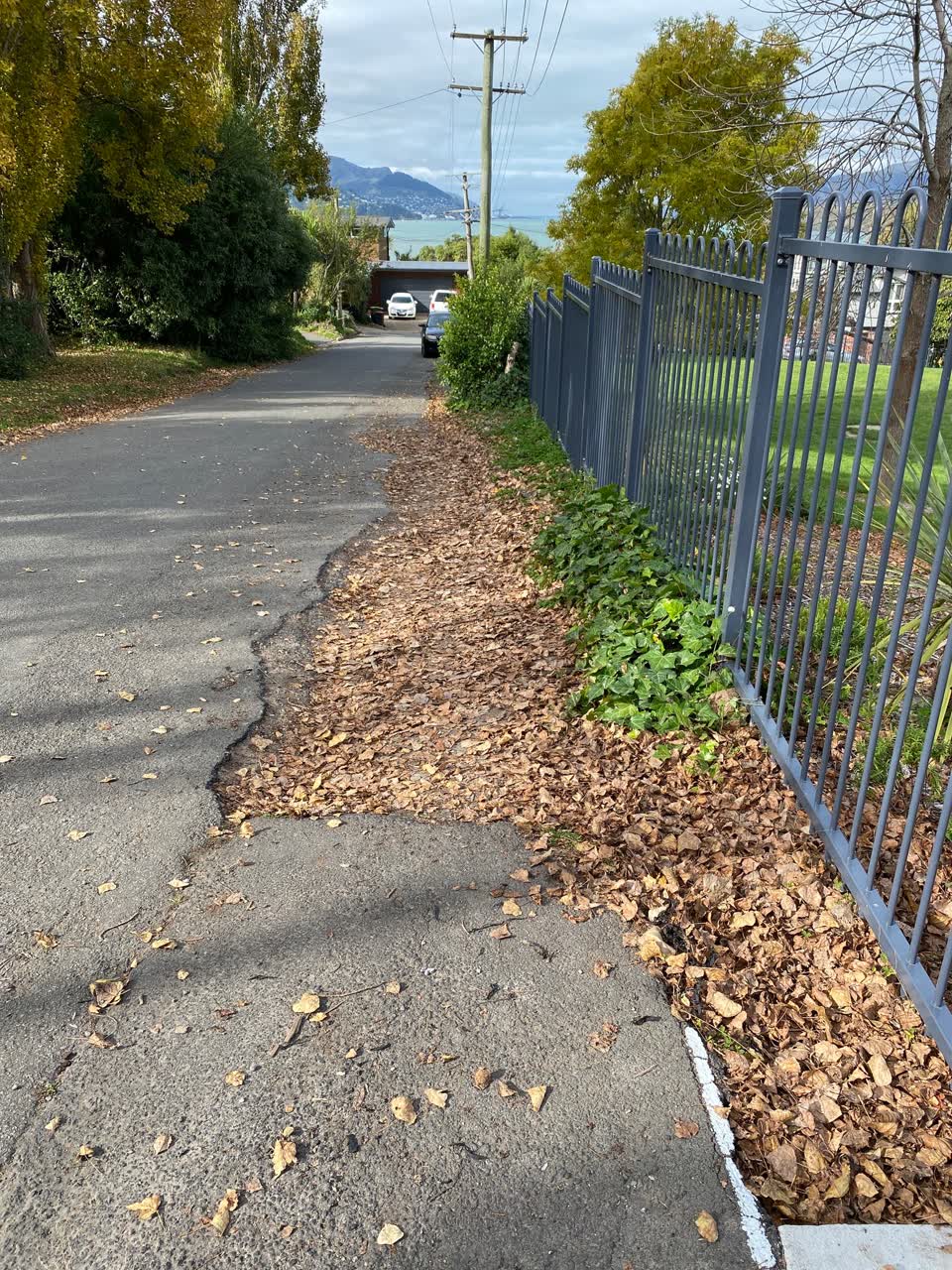 The photograph attached to this roading/streets report
