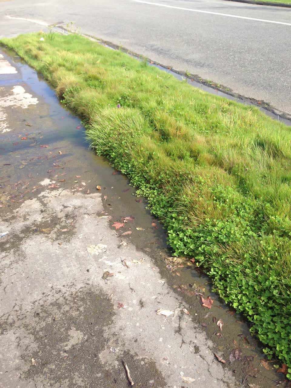 The photograph attached to this water leak report