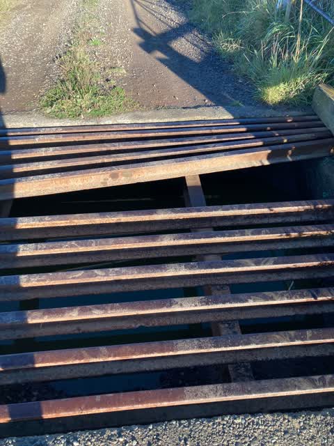 Roading/Streets, a report photo
