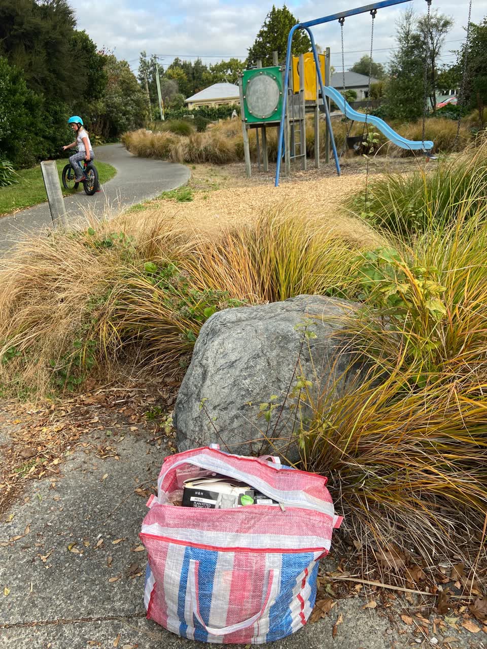 The photograph attached to this rubbish/recycling report
