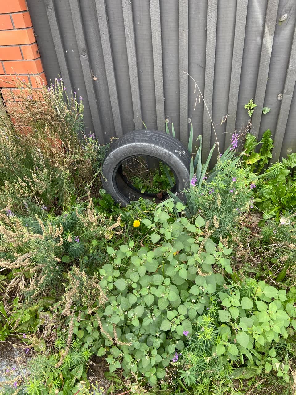 The photograph attached to this rubbish/recycling report