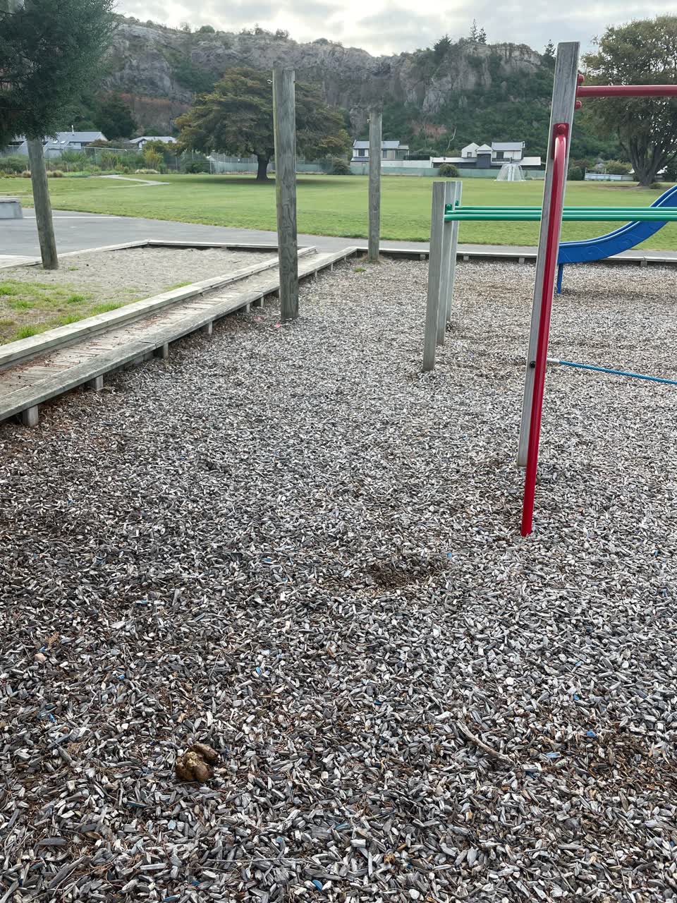 The photograph attached to this parks report