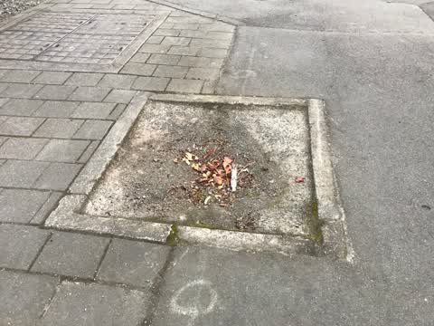 Roading/Streets, a report photo