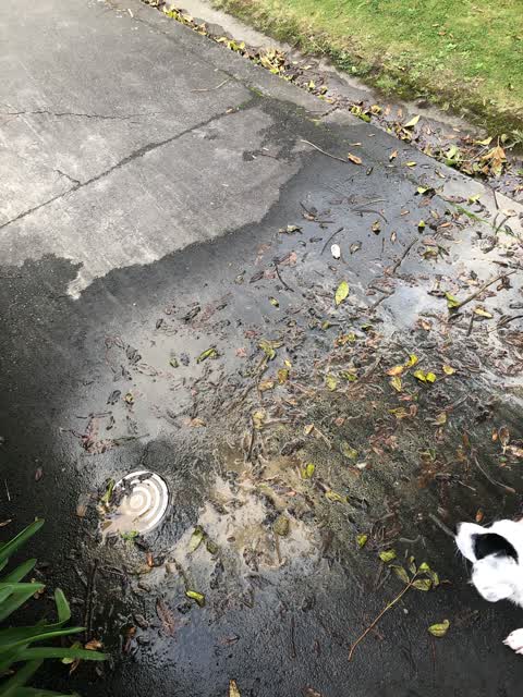 Water Leak, a report photo