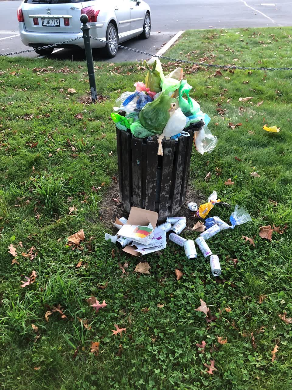 The photograph attached to this rubbish/recycling report