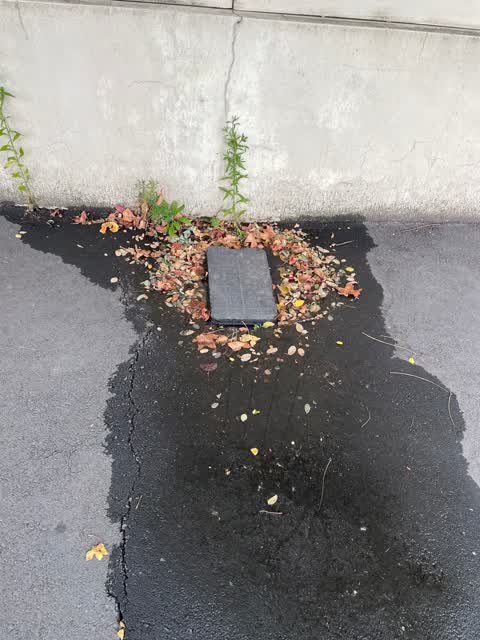 Water Leak, a report photo