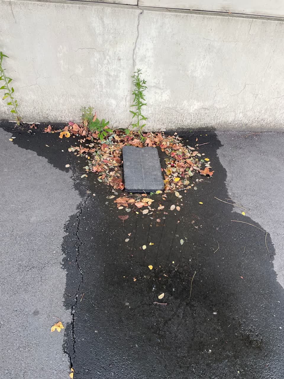The photograph attached to this water leak report