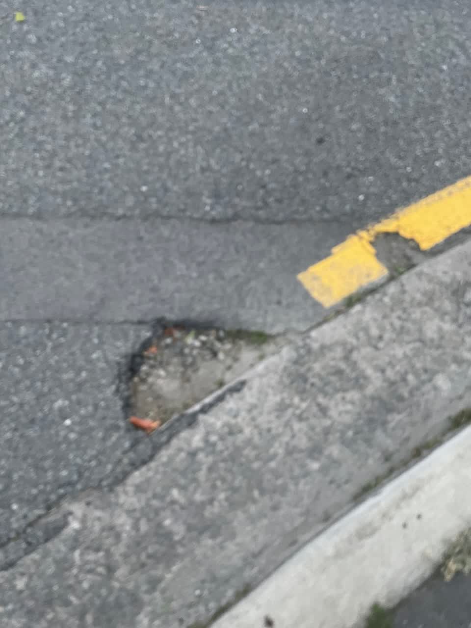 The photograph attached to this roading/streets report
