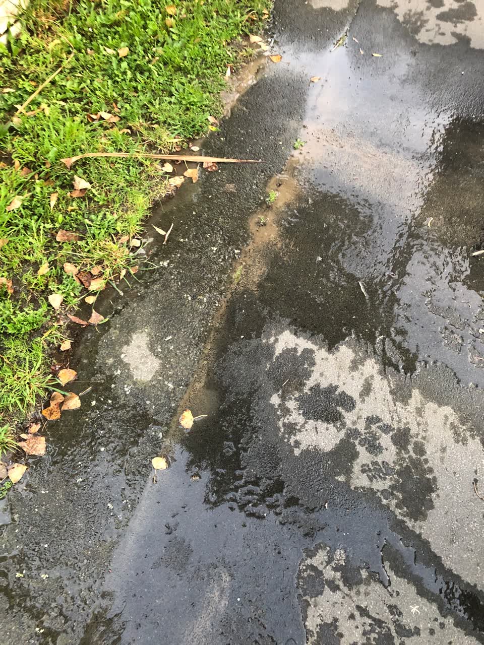 The photograph attached to this water leak report