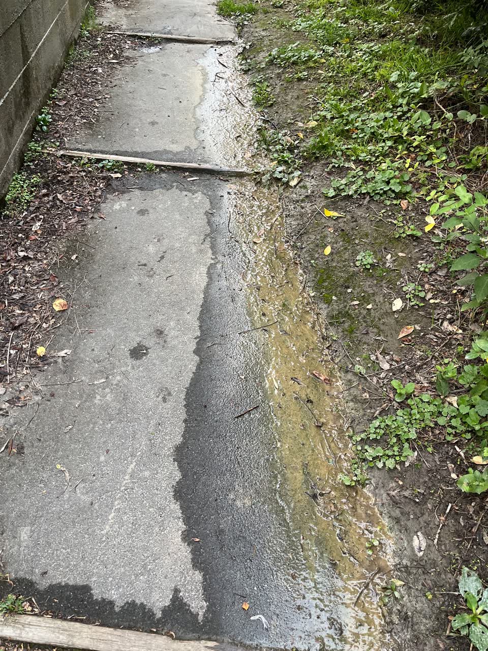 The photograph attached to this water leak report