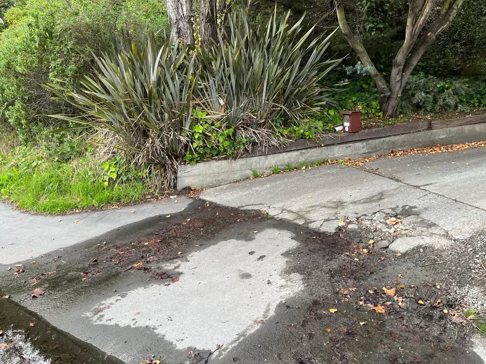 The photograph attached to this water leak report