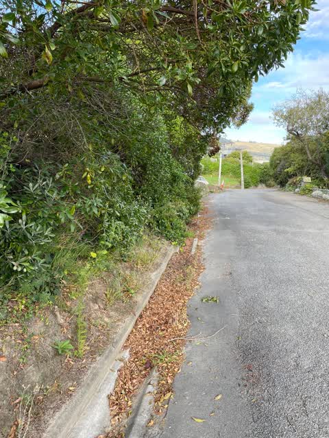 Roading/Streets, a report photo