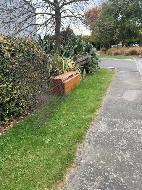 Rubbish/Recycling, a report photo