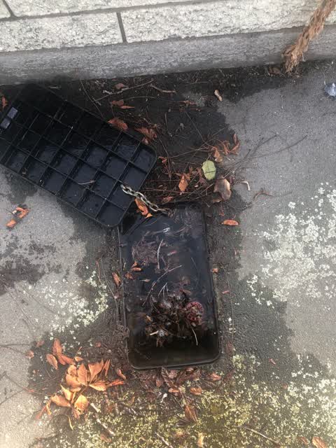 Water Leak, a report photo