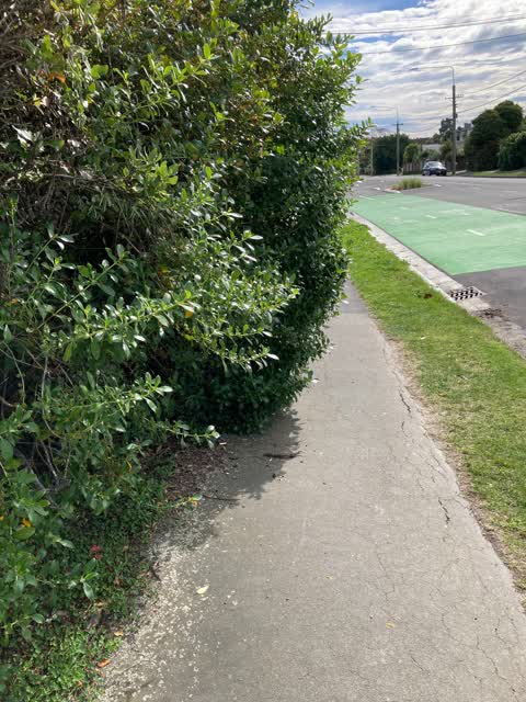 Roading/Streets, a report photo