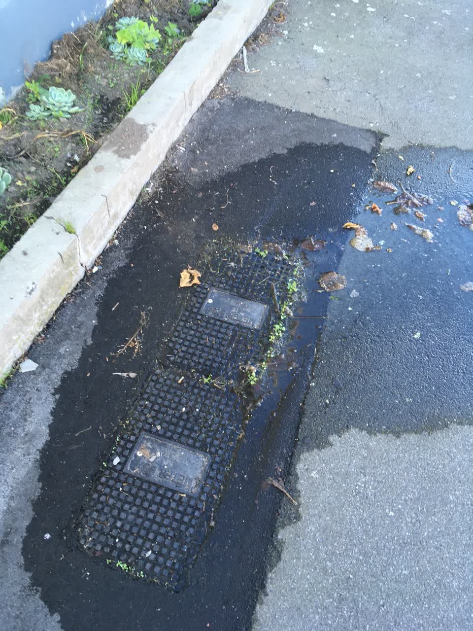 The photograph attached to this flooding report