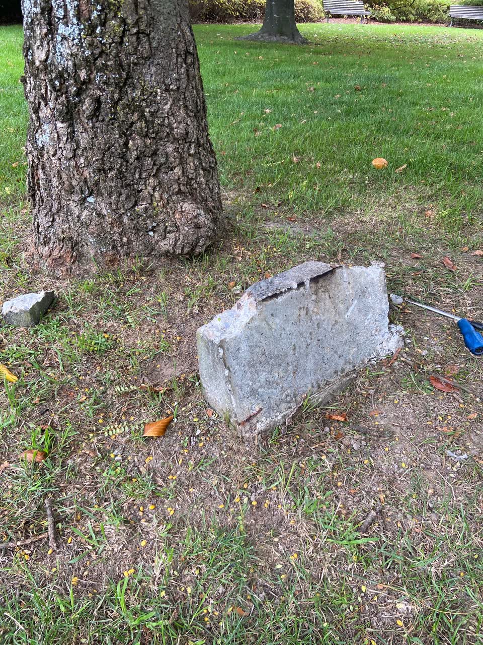 The photograph attached to this parks report