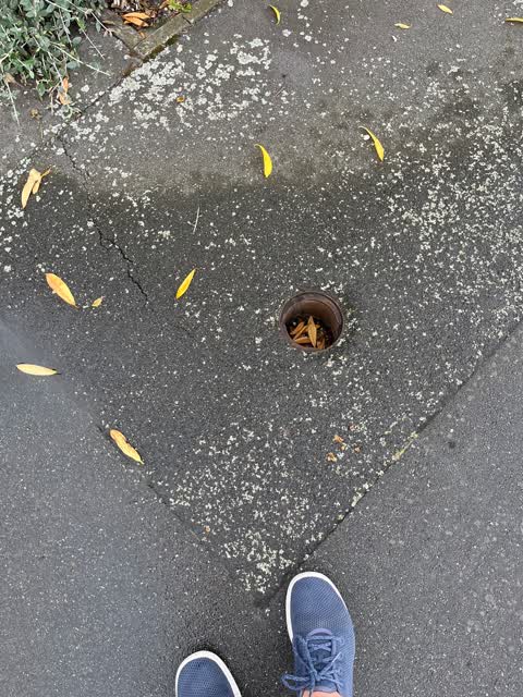 Roading/Streets, a report photo