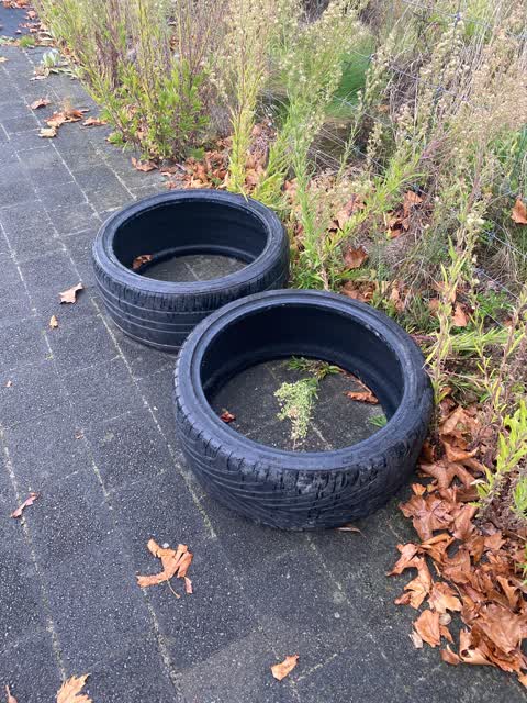 Rubbish/Recycling — a report photo