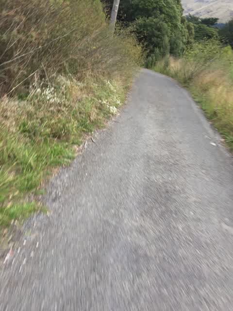 Roading/Streets, a report photo