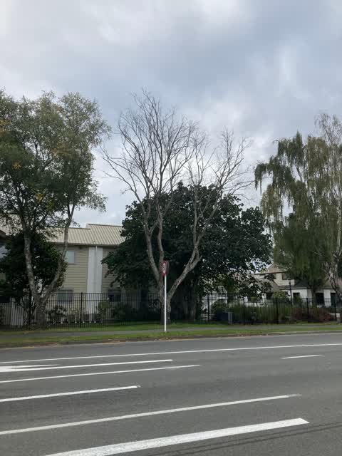 Roading/Streets, a report photo