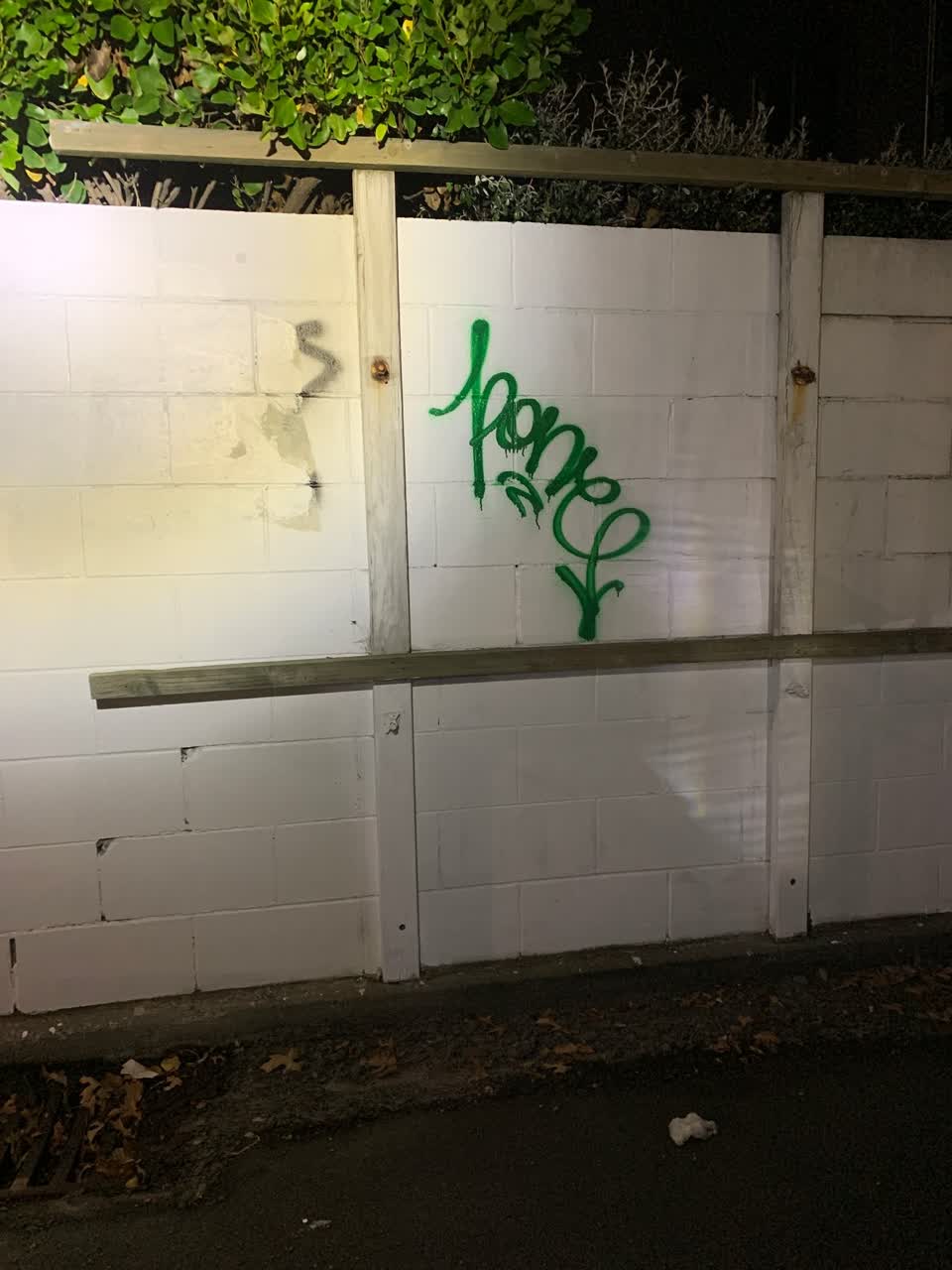 The photograph attached to this graffiti report
