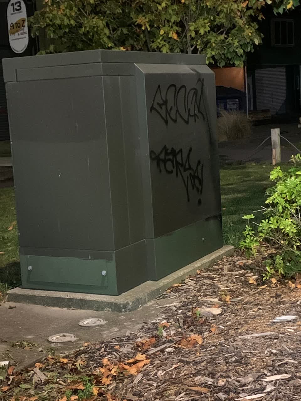 The photograph attached to this graffiti report