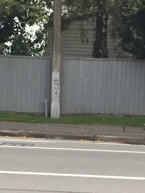 Graffiti, a report photo