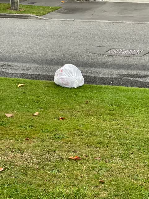 Rubbish/Recycling, a report photo