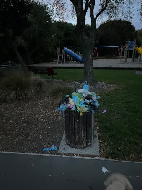 Rubbish/Recycling, a report photo