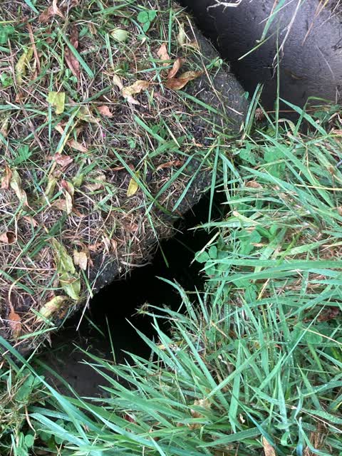 Sewer - General, a report photo