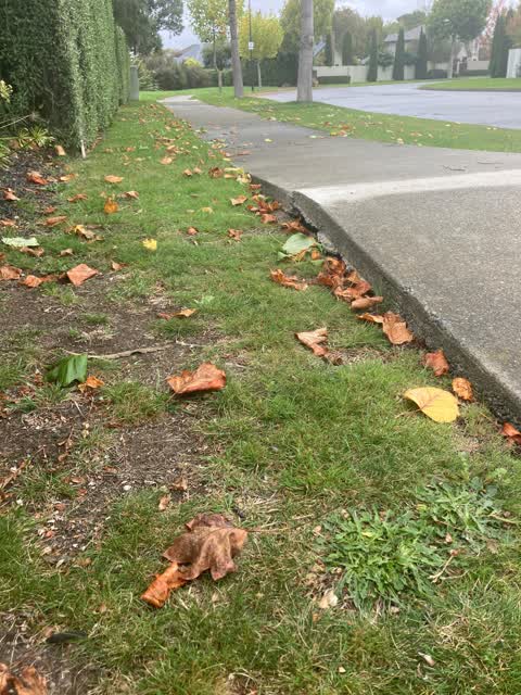 Roading/Streets, a report photo