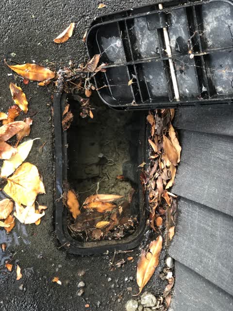 Water Leak, a report photo