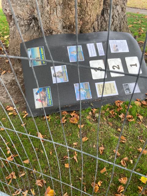 Rubbish/Recycling — a report photo