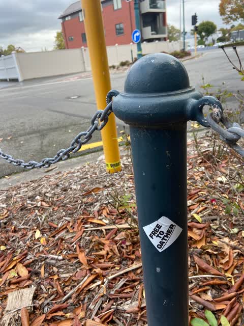 Graffiti — a report photo
