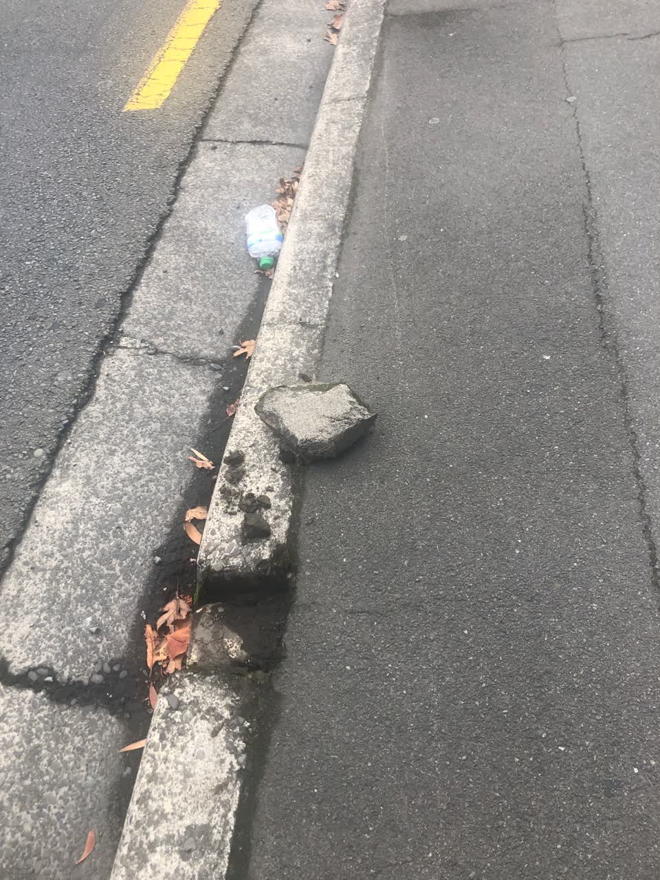 The photograph attached to this roading/streets report