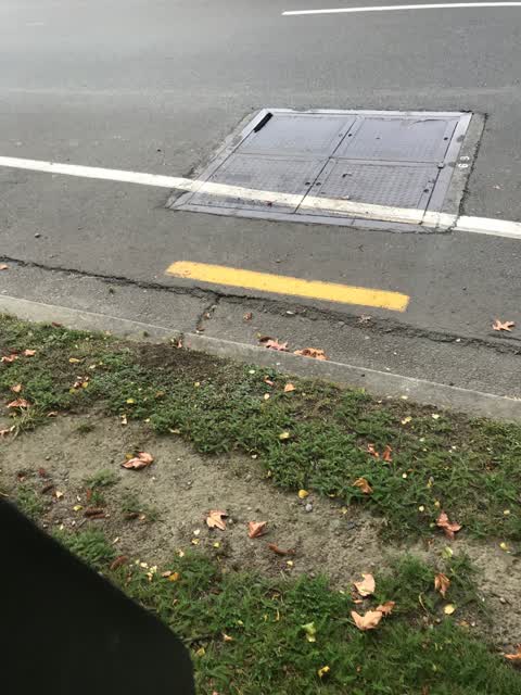 Roading/Streets, a report photo