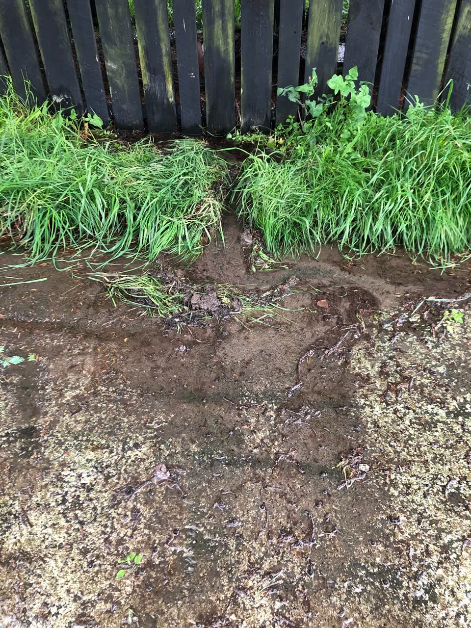 The photograph attached to this water leak report
